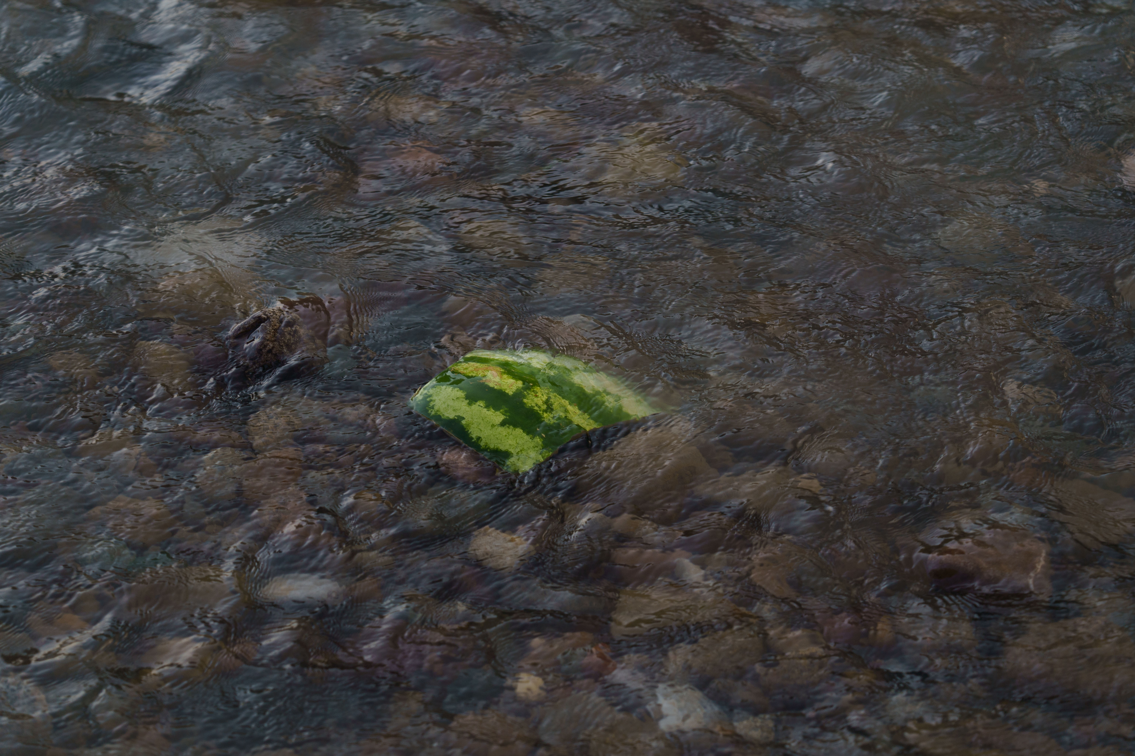 Engage H2O field documentation